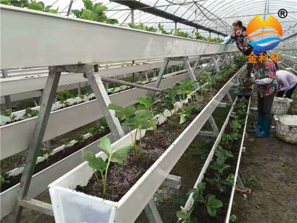 立體種植草莓栽培槽